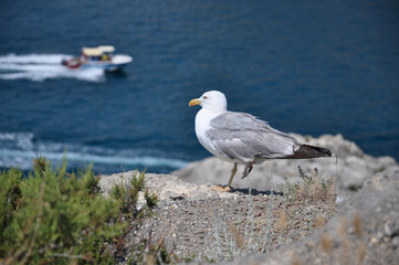 Atmospheric views of the island of Crimea