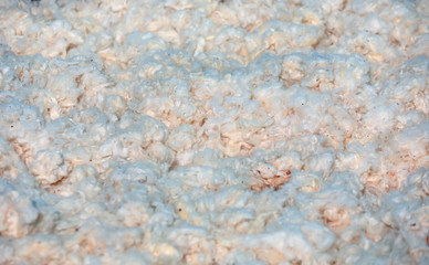 Raw cotton ready for processing