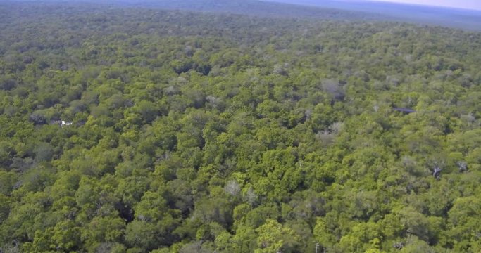 Aerial view from the bigest mayan pyramid La Danta, Peten, Guatemala.