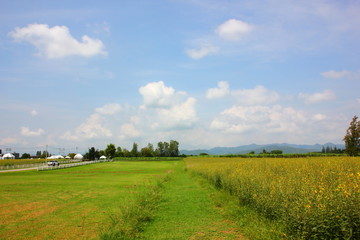 farmland with blue  sky  white cloud  mountain beayitful view ,