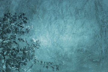 gray cement texture with flower shadow background,Abstract background