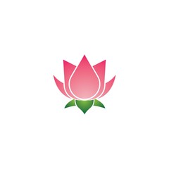Lotus logo template icon design