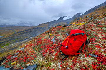Red Pack on the Slopes