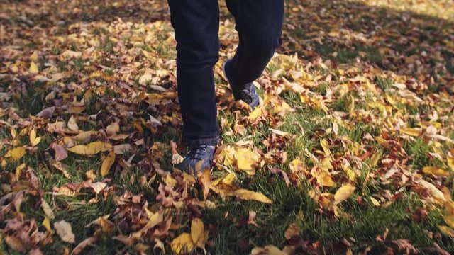 Boy walking on a autumn leaves in a park, slow motion,  seen from the front	