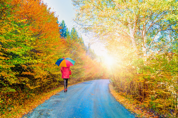Obraz premium Autumn landscape in (seven lakes) Yedigoller National Park - Bolu, Turkey