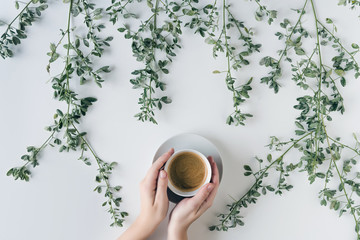 Female hands with a cup of coffee in branches with green leaves on a white table. Cofee art. Flat lay, top view.