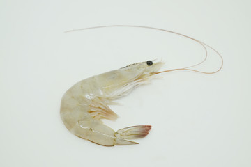 A whiteleg shrimp, Pacific white shrimp, King prawn, Penaeus vannamei isolated on white background.