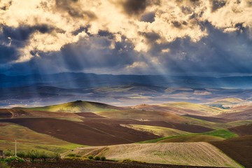 Campi di Sicilia