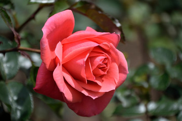 beautiful place in india