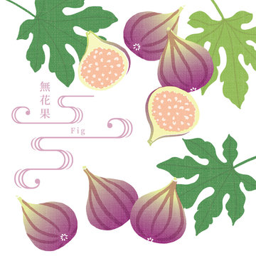 2 0 Best 手ぬぐい Images Stock Photos Vectors Adobe Stock 2 0 Best 手ぬぐい Images Stock Photos Vectors Adobe Stock
