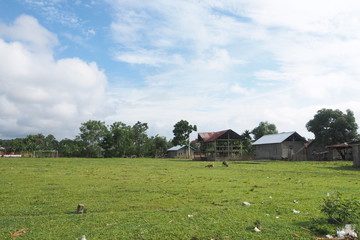 Obraz premium Batusuya Village Palu Sulawesi Indonesia