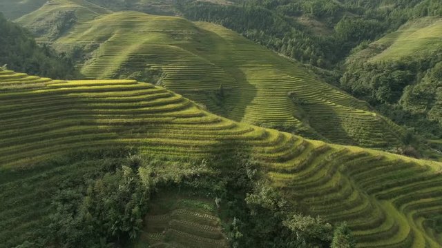 Longji Images – Browse 29 Stock Photos, Vectors, and Video | Adobe Stock