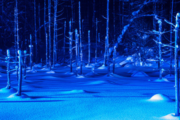 冬の青い池