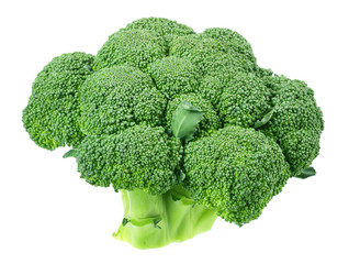 green broccoli isolated on white background.