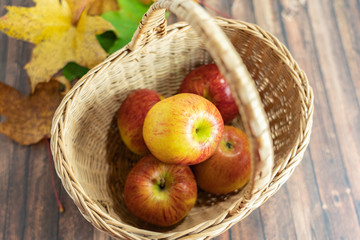 Freshly picked apples in a wicker basket