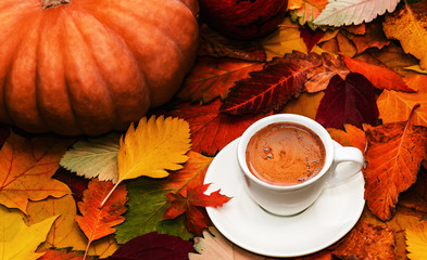Autumn composition: white cup of coffee and pumpkins on colorful autumn leaves. Creative autumn thanksgiving, fall, halloween concept