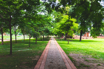 Path in a green park in summer.