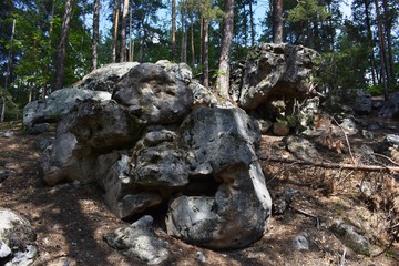 Malopinsky nature sanctuary of the Samara region Russia