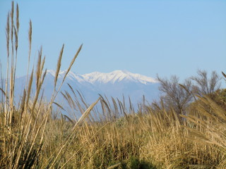 Fototapeta premium Le Canigou