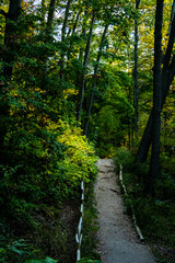 Quiet afternoon in the fall in Toronto