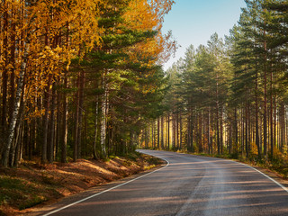 Bright fall colors by the autumn road in Finland.