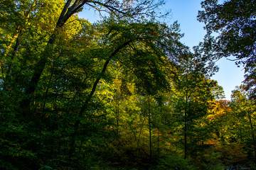 Quiet afternoon in the fall in Toronto