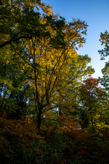 Quiet afternoon in the fall in Toronto