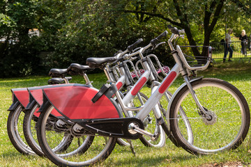 Fototapeta premium Mietfahrrad auf einer Wiese