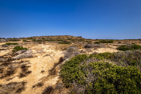 Chrissy island scenery on a sunny summer day with dry trees, brown soil and blue clear sky with haze.