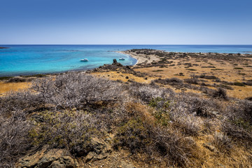 Chrissy island scenery on a sunny summer day with dry trees, brown soil and blue clear sky with haze. © Eugene_Photo