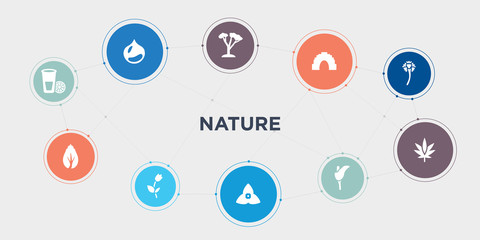 nature 10 points circle design. lemon and juice drop out, birch, bell, bougainvillea round concept icons..