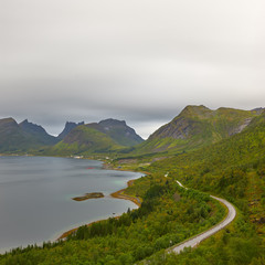 Fjord view