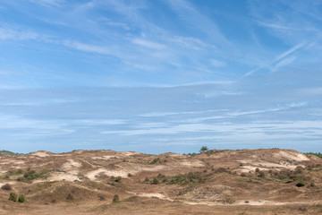 Fototapeta na wymiar Dry dune landscape in the summer