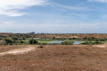 Fototapeta na wymiar View on a dune lake with the village of Egmond aan Zee in the background