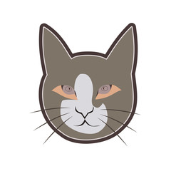 Cute cat vector on white background