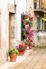 Fototapeta na wymiar Old street with flower pots