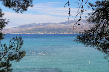 Beautiful landscape of sea Coast of Adriatic sea with Transparent Blue Water near Supetar, Croatia. Popular travel destinations.