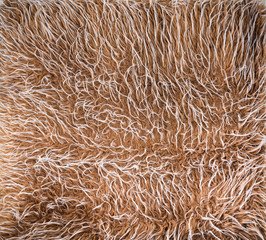 background and texture of fabrics resemble wool