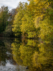Fototapeta premium Øster Anlæg sø reflektion