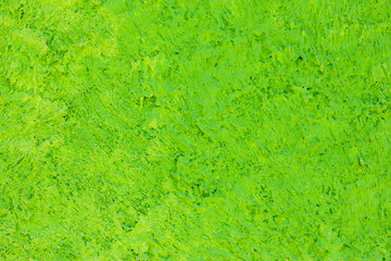 Fototapeta premium green cement wall or floor textured,Abstract background