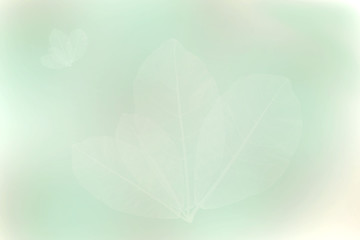 Fototapeta na wymiar green brown leaves background,Abstract blur