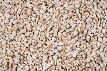 Organic millet grains natural texture for background.