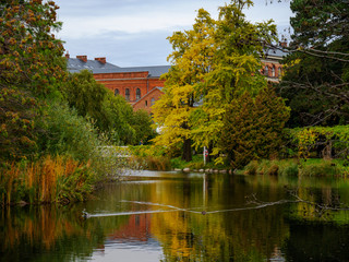 Fototapeta premium Botanisk Have sø