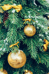 Green fir tree with golden balls. Christmas wallpaper.