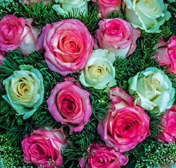 Bunch Natural white red roses background Valentine's Day