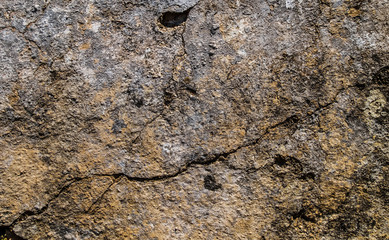 Facade walls empty concrete