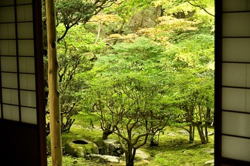 森の中の日本庭園