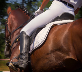 horse close up with unknown rider under leather saddle