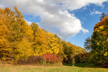 Fototapeta premium Autumnal colorful landscape under cloudy sky