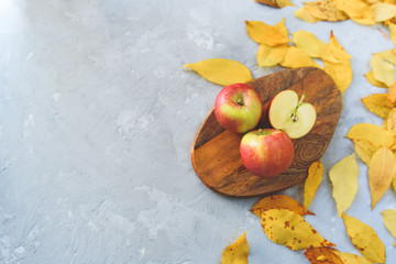 Ripe juicy apples lie among the fallen golden fossil foliage.